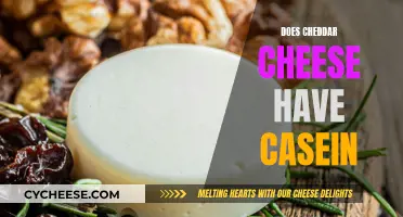 Cheddar Cheese and Casein: What's the Connection?
