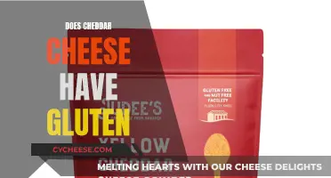 Cheddar Cheese: Gluten-Free Delight or Hidden Source?