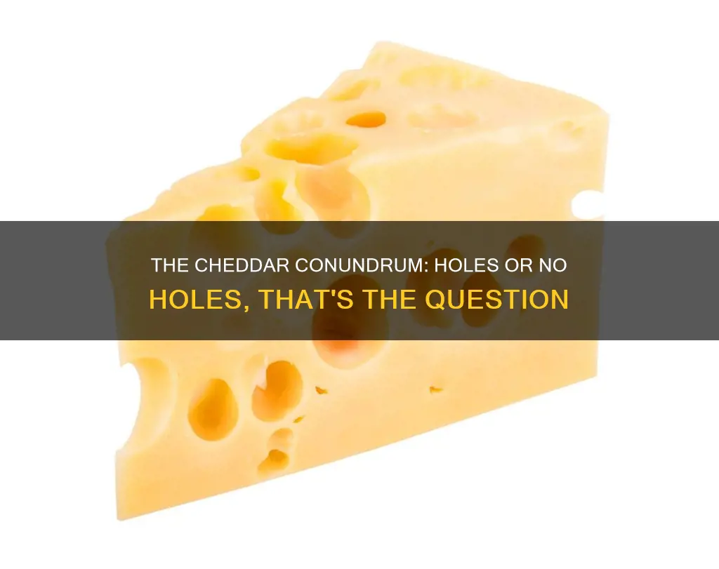 does cheddar cheese have holes