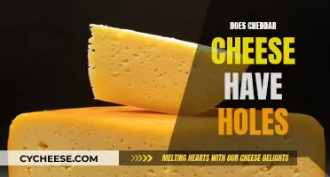 Cheddar Cheese: Why Do Some Blocks Have Holes?