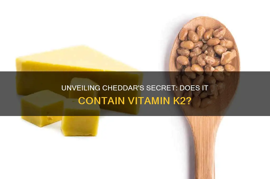 does cheddar cheese have k2