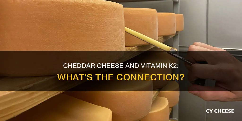 does cheddar cheese have k2