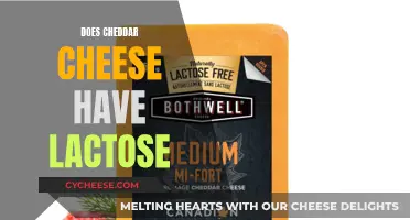 Cheddar Cheese and Lactose: Unraveling the Mystery