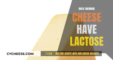 Cheddar Cheese and Lactose: What's the Deal?
