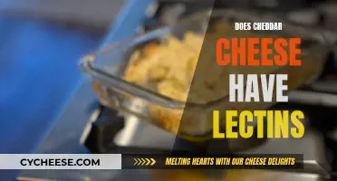 Unraveling the Cheddar Mystery: Lectin or Not?