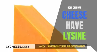 Cheddar Cheese's Lysine Content: Unlocking the Nutritional Secrets