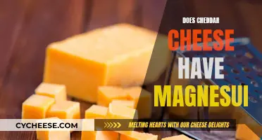 Magnesium Mystery: Unveiling Cheddar Cheese's Secret Mineral Content