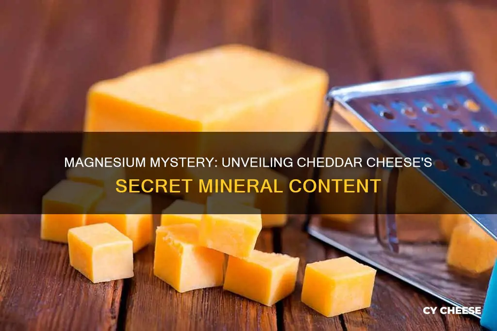 does cheddar cheese have magnesuim