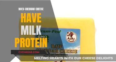 Unveiling the Cheddar Mystery: Milk Protein's Role