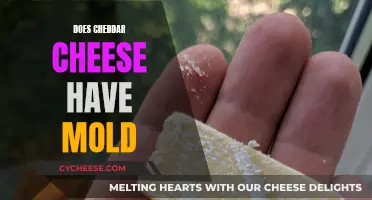 The Cheddar Conundrum: Mold or No Mold?