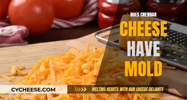 Cheddar Cheese and Mold: What's the Connection?