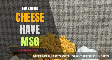 Unraveling the Mystery: Cheddar Cheese and the MSG Question