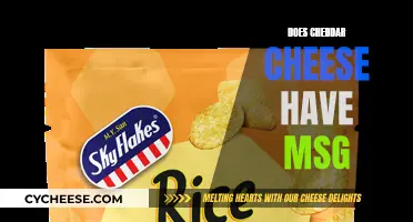 Cheddar Cheese and MSG: What's the Connection?