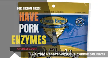 Cheddar Cheese and Pork Enzymes: What's the Connection?