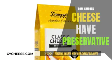 Cheddar Cheese: Preservatives and Their Presence