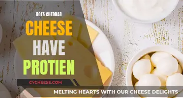 Unveiling Cheddar's Protein Power: A Tasty Nutrition Boost