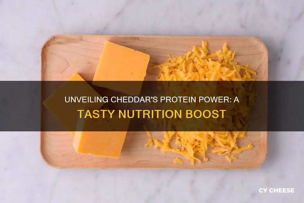 does cheddar cheese have protien