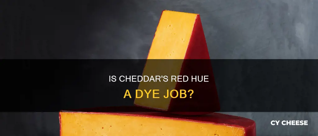 does cheddar cheese have red dye