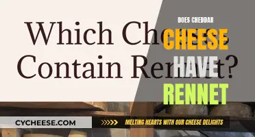 Cheddar Cheese: Unveiling the Mystery of Rennet