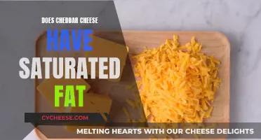 Cheddar Cheese: Unveiling the Saturated Fat Mystery