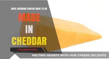 The Cheddar Conundrum: Can It Be Made Anywhere?