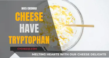 Cheddar Cheese: Tryptophan's Role in Your Diet