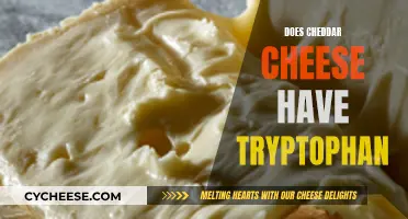 Cheddar Cheese and Tryptophan: What's the Connection?