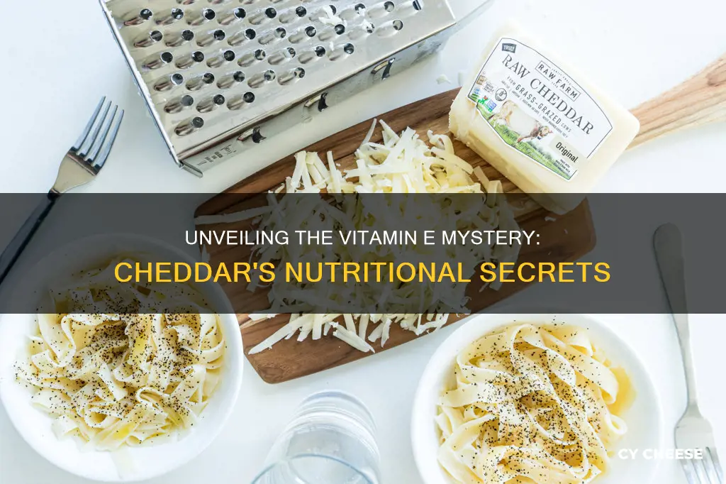 does cheddar cheese have vitamin e