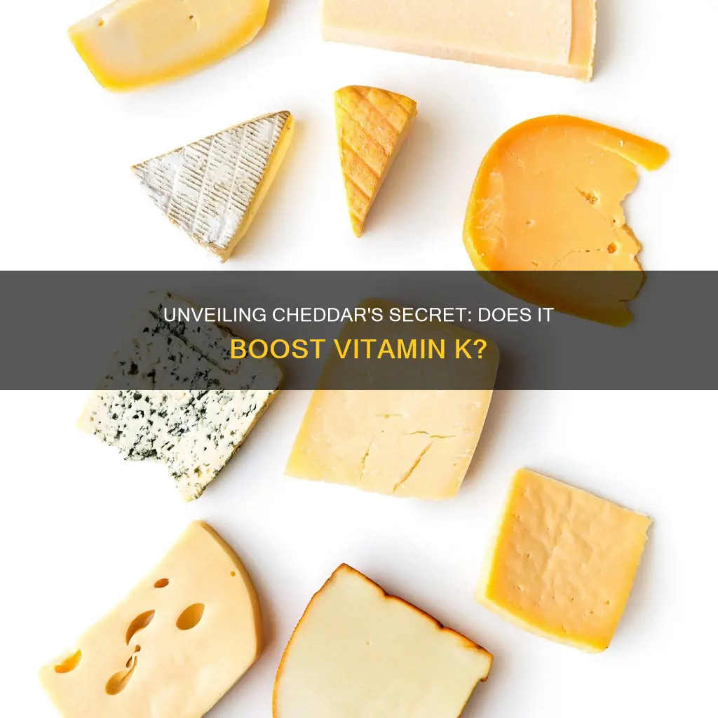 does cheddar cheese have vitamin k