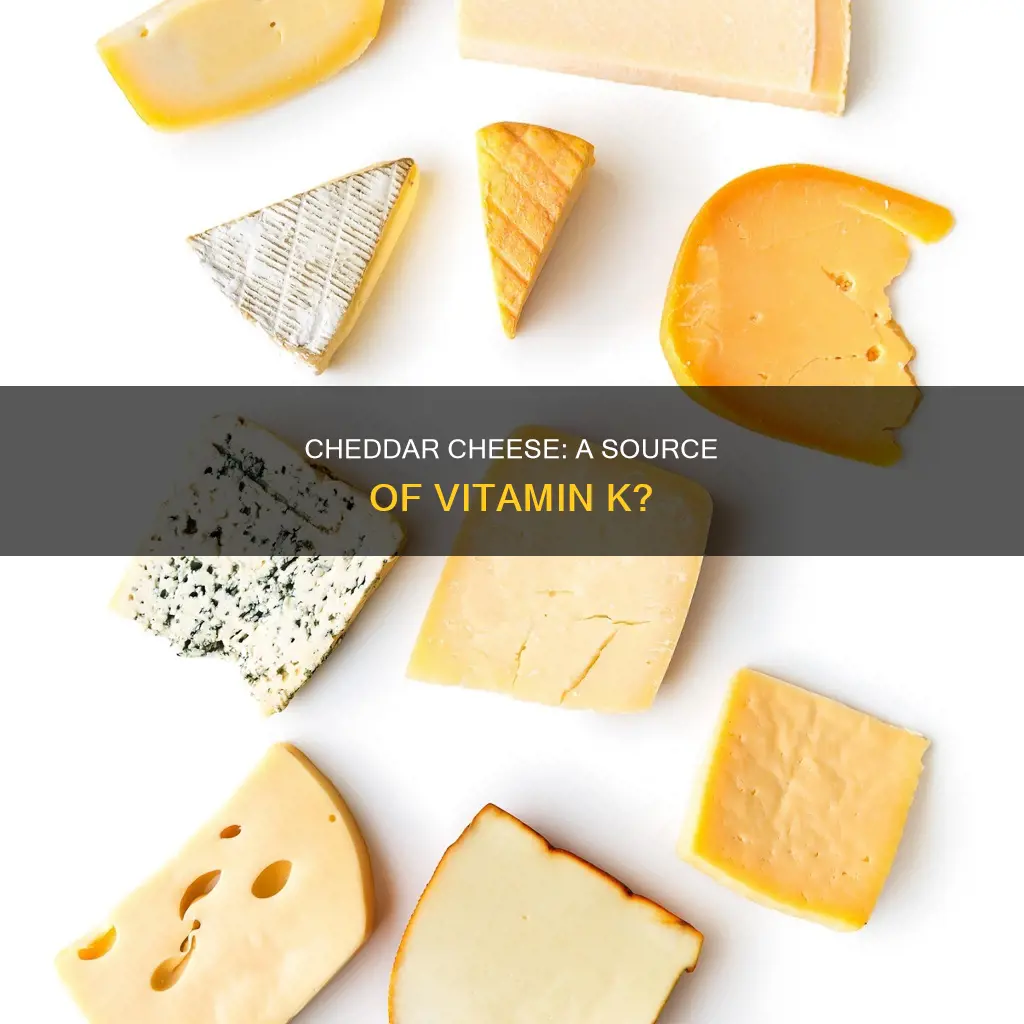 does cheddar cheese have vitamin k