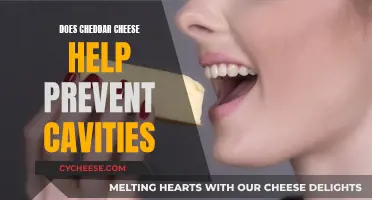 Cheddar Cheese: Fighting Cavities, Delicious Dental Defense