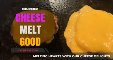 Does Cheddar Cheese Melt Well? A Cheesy Melting Guide