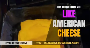 Cheddar vs. American: The Ultimate Melting Showdown