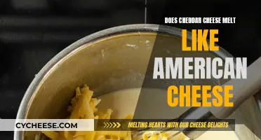 Cheddar vs American Cheese: Melting Point Differences