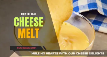 The Ultimate Cheddar Cheese Melting Guide: Does It Really Melt?