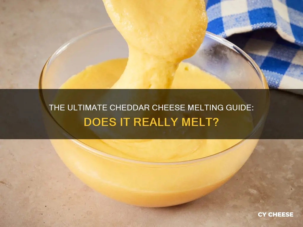 does cheddar cheese melt