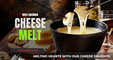 Cheddar Cheese Melting: A Quick Guide