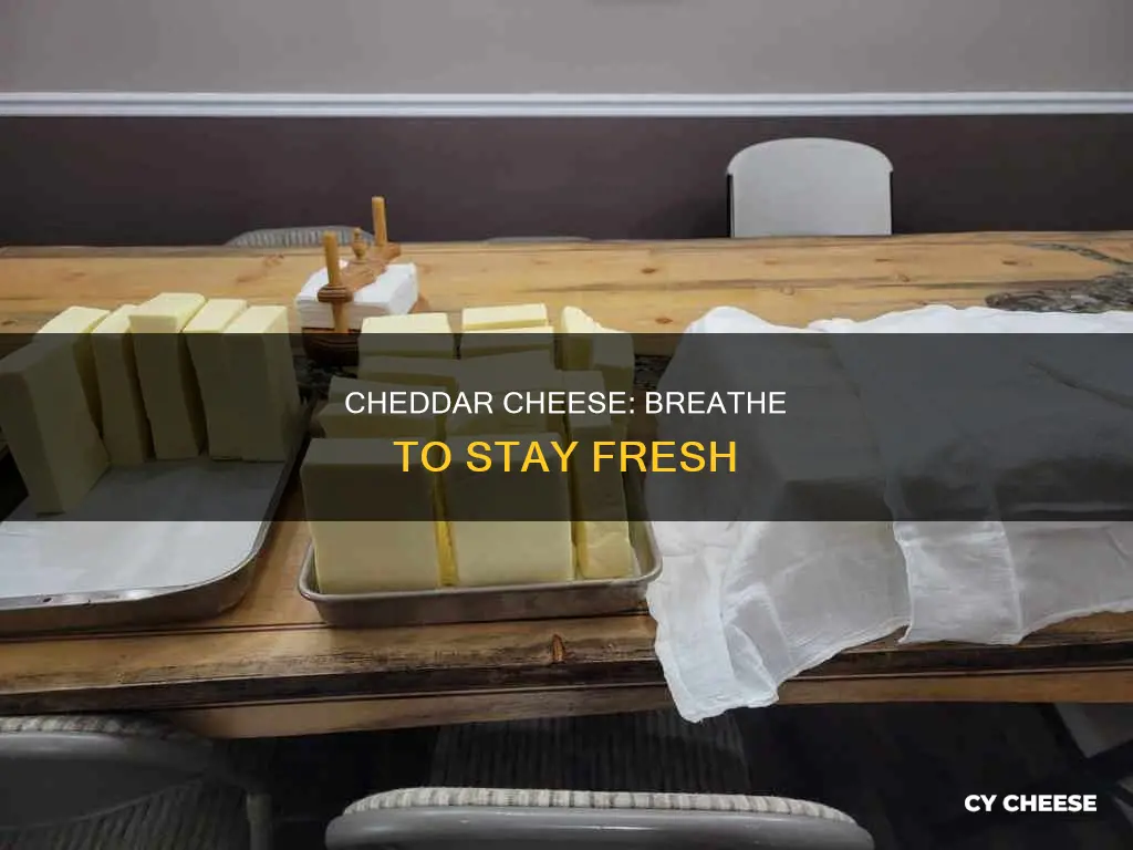 does cheddar cheese need to breathe