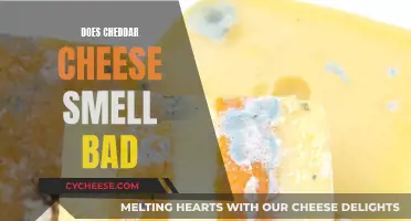 Unraveling the Cheddar Conundrum: Is It Stinky?