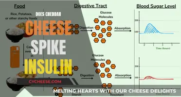 Cheddar Cheese and Insulin: Unraveling the Carb-Free Conundrum