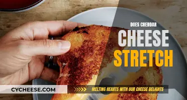 The Stretchy Cheddar: Unraveling the Mystery of Its Elasticity