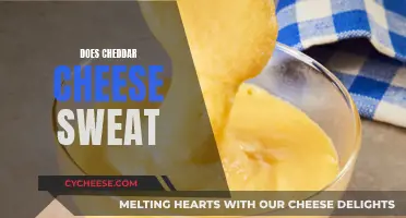 The Surprising Cheddar Conundrum: Does It Sweat?