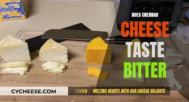 The Sweet and Savory World of Cheddar: Unraveling the Bitter Mystery