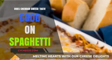 Cheddar Cheese on Spaghetti: A Delicious Twist or Culinary Misstep?