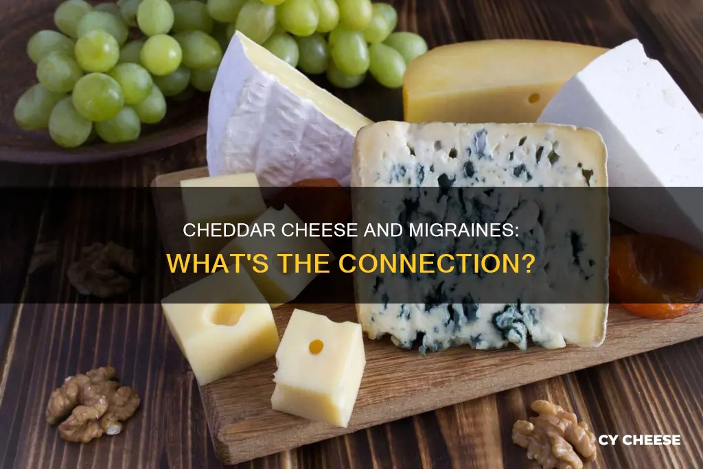 does cheddar cheese trigger m8graine