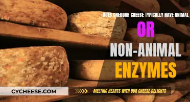 Cheddar Cheese: Animal or Non-Animal Enzymes?