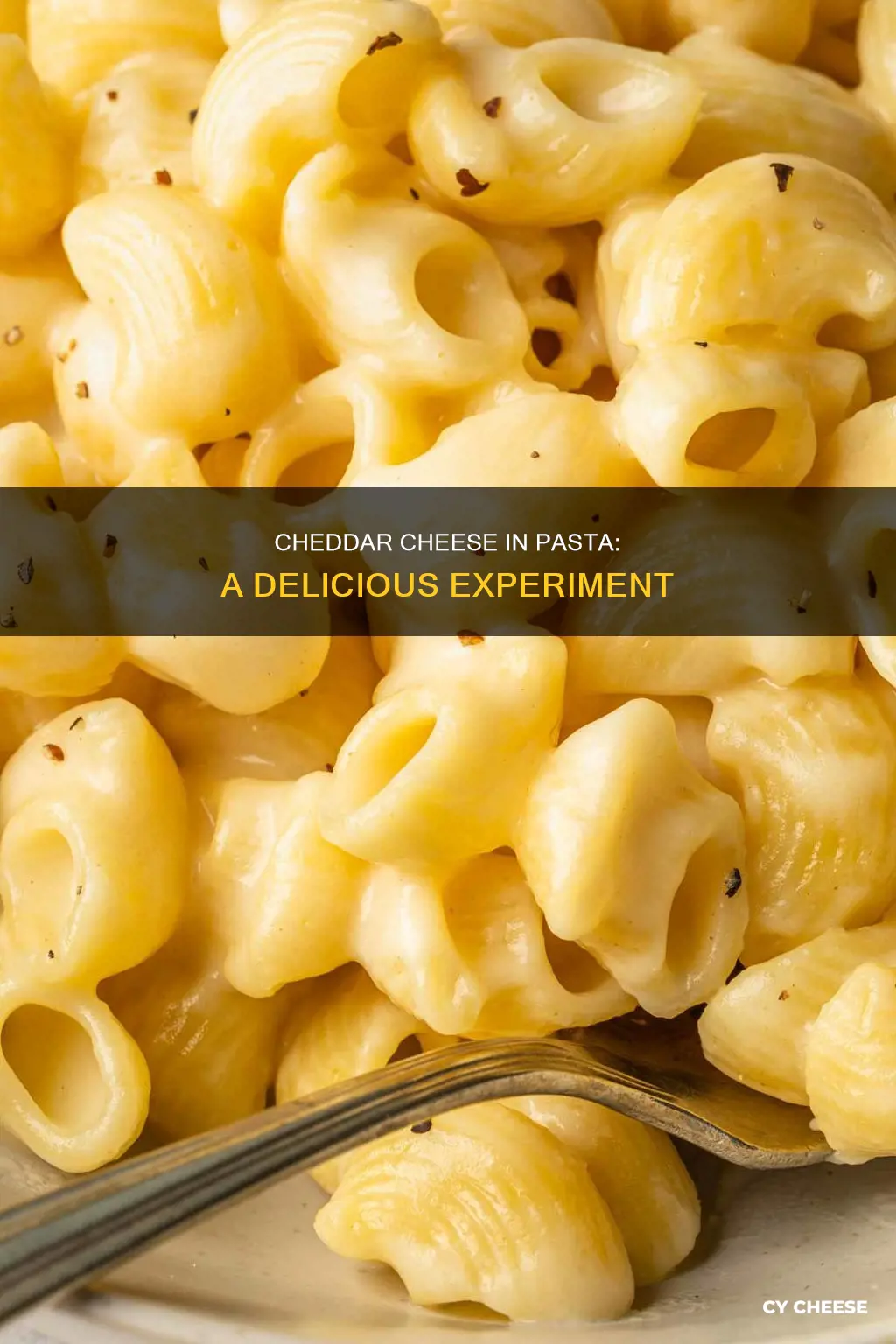 does cheddar cheese work in pasta sauce