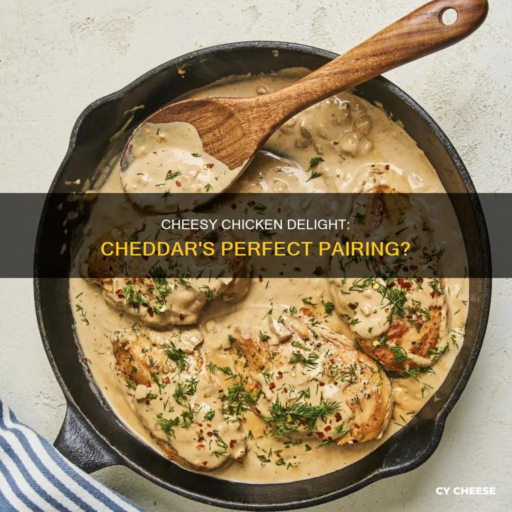 does cheddar cheese work with chichen