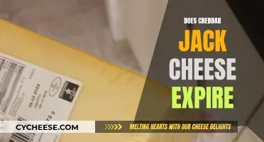 Cheese Expiration: Cheddar Jack's Shelf Life Unveiled