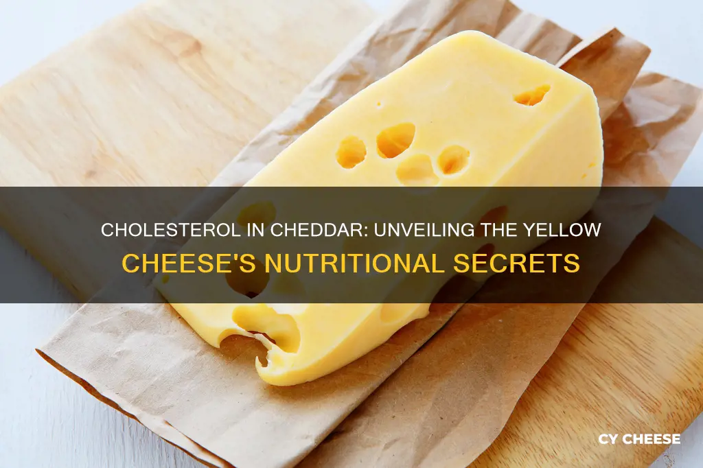 does cheddar yellow cheese have cholesterol